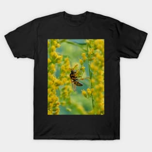 Out on a limb T-Shirt